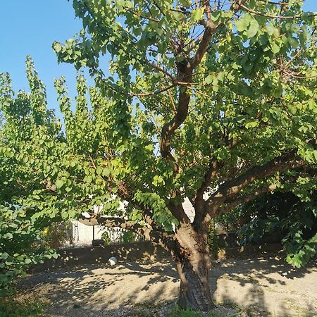 Villa Dans Le Sud Lunel  Exterior foto